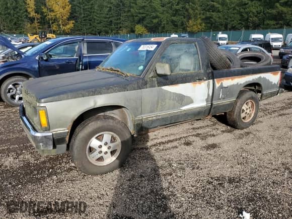 1991 Chevrolet S-10 EL X81 with VIN 1GCCT14ZXM0188776, listed as a Copart auction lot 78316434 with 266,519 mi miles and Clean title. Bid and sale history available at DreamBid. Image 1.