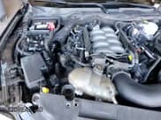 ✅ 2019 Ford Mustang GT Premium • VIN: 1FA6P8CF8K5166752 • Lot: 81967125. Wystawiony na Copart z przebiegiem 49 273 mil. Bezpłatny archiwum sprzedaży aukcyjnych z USA i szczegółowy raport historii pojazdu na DreamBid. Zdjęcie 15.