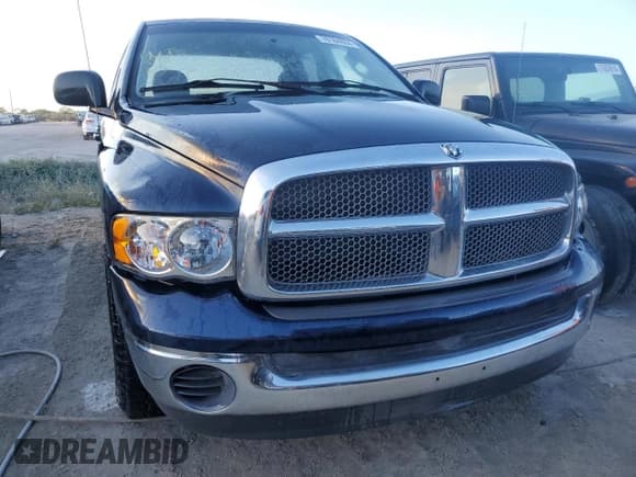 ✅ 2002 Dodge 1500 • VIN: 1D7HA18N82S637463 • Лот: 78184884. Опубликован ранее на Copart с пробегом 119 647 миль. Бесплатный доступ к архиву аукционных продаж из США и подробный отчёт об истории автомобиля на DreamBid. Изображение 5.