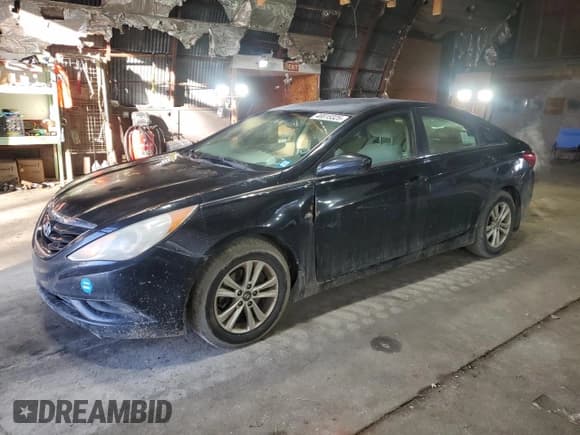 ✅ 2013 Hyundai Sonata GL • VIN: 5NPEB4AC3DH626134 • Lot: 48815325. Listed on Copart with 160,377 mi. Free auction sales archive from the USA and detailed vehicle history report at DreamBid. Image 1.
