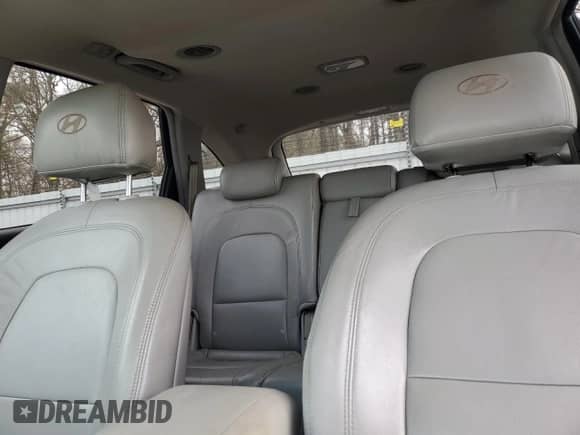 2007 Hyundai Veracruz GLS с VIN KM8NU13C67U019091, выставлен на аукционе Copart как лот 43911925 с пробегом 201 895 миль миль и Списание • Salvage title. История ставок и продаж доступна на DreamBid. Изображение 10.