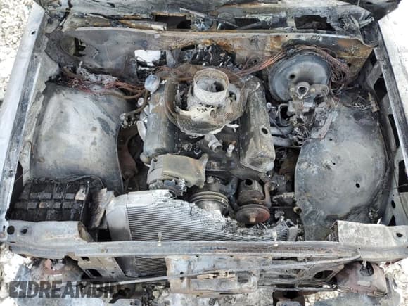 ✅ 1994 Chevrolet S-10 • VIN: 1GCCS1447R8206358 • Лот: 42410785. Опубликован ранее на Copart с пробегом Не указан. Бесплатный доступ к архиву аукционных продаж из США и подробный отчёт об истории автомобиля на DreamBid. Изображение 11.