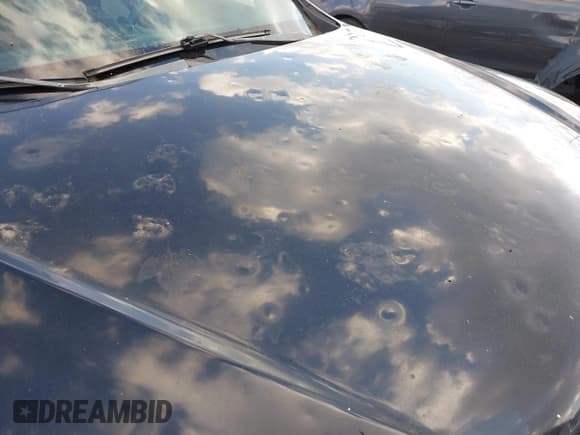 ✅ 2009 Hyundai Santa Fe GLS • VIN: 5NMSG13D09H233611 • Lot: 43587782. Listed on IAAI with 233,395 mi. Free auction sales archive from the USA and detailed vehicle history report at DreamBid. Image 6.