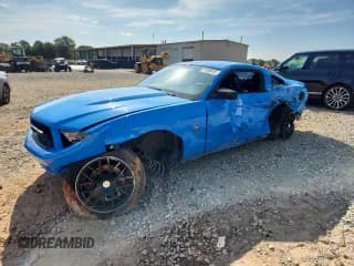 ✅ 2012 Ford Mustang Premium • VIN: 1ZVBP8AM9C5210122 • Lot: 71895445. Listed on Copart with 204,625 mi. Free auction sales archive from the USA and detailed vehicle history report at DreamBid. Image 1.