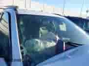 2024 Jeep Compass Latitude с VIN 3C4NJDBN8RT599085, выставлен на аукционе IAAI как лот 43558238 с пробегом Не указан миль и . История ставок и продаж доступна на DreamBid. Изображение 19.