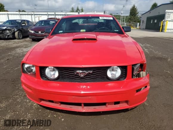 ✅ 2008 Ford Mustang GT Deluxe • VIN: 1ZVHT82H885106767 • Лот: 70813345. Опубликован ранее на Copart с пробегом 112 957 миль. Бесплатный доступ к архиву аукционных продаж из США и подробный отчёт об истории автомобиля на DreamBid. Изображение 5.