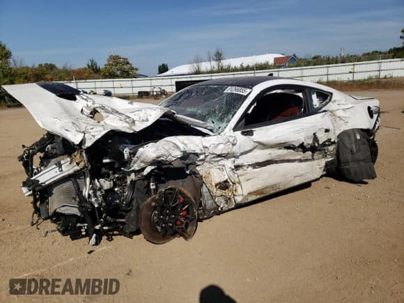 ✅ 2024 Ford Mustang GT Premium • VIN: 1FA6P8CF9R5429728 • Lot: 81266855. Listed on Copart with Not provided. Free auction sales archive from the USA and detailed vehicle history report at DreamBid. Image 1.