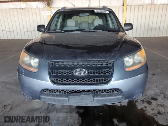 ✅ 2009 Hyundai Santa Fe GLS • VIN: 5NMSG13DX9H237035 • Lot: 80300564. Listed on Copart with 265,150 mi. Free auction sales archive from the USA and detailed vehicle history report at DreamBid. Image 5.