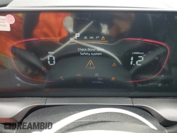 ✅ 2024 Kia Telluride LX • VIN: 5XYP24GC6RG530772 • Lot: 65376835. Wystawiony na Copart z przebiegiem 18 144 mil. Bezpłatny archiwum sprzedaży aukcyjnych z USA i szczegółowy raport historii pojazdu na DreamBid. Zdjęcie 9.