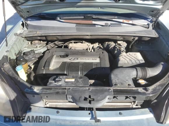 2005 Hyundai Tucson GL z VIN KM8JM12BX5U168799, wystawiony jako Copart lot #84709184 z przebiegiem 127 109 mil mil oraz Szkoda całkowita • Salvage title. Historia ofert i sprzedaży dostępna na DreamBid. Obrazek 12.