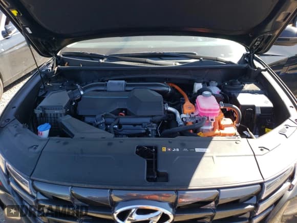 ✅ 2024 Hyundai Tucson SEL Convenience • VIN: KM8JCCD18RU175677 • Lot: 70236884. Wystawiony na Copart z przebiegiem 3 261 mil. Bezpłatny archiwum sprzedaży aukcyjnych z USA i szczegółowy raport historii pojazdu na DreamBid. Zdjęcie 12.