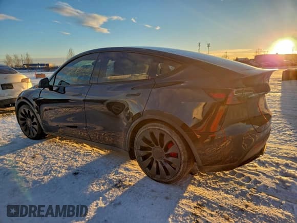 ✅ 2024 Tesla Model Y Performance • VIN: 7SAYGDEF8RF041383 • Lot: 95929755. Wystawiony na Copart z przebiegiem 41 607 mil. Bezpłatny archiwum sprzedaży aukcyjnych z USA i szczegółowy raport historii pojazdu na DreamBid. Zdjęcie 2.
