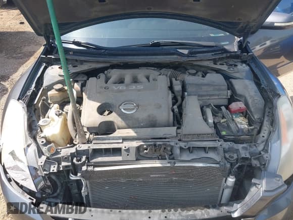 ✅ 2009 Nissan Altima SL • VIN: 1N4BL21E19C184341 • Lot: 42579822. Wystawiony na IAAI z przebiegiem 202 408 mil. Bezpłatny archiwum sprzedaży aukcyjnych z USA i szczegółowy raport historii pojazdu na DreamBid. Zdjęcie 10.