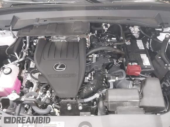 ✅ 2024 Lexus TX 350 • VIN: 5TDAAAB6XRS005029 • Лот: 42385856. Опубликован ранее на IAAI с пробегом 10 миль. Бесплатный доступ к архиву аукционных продаж из США и подробный отчёт об истории автомобиля на DreamBid. Изображение 10.