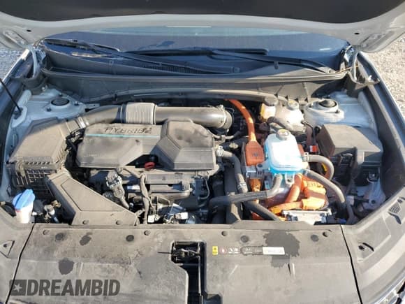 ✅ 2024 Hyundai Tucson SEL • VIN: KM8JBDD21RU153537 • Lot: 77421164. Wystawiony na Copart z przebiegiem 25 799 mil. Bezpłatny archiwum sprzedaży aukcyjnych z USA i szczegółowy raport historii pojazdu na DreamBid. Zdjęcie 12.