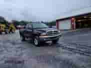 2004 Dodge Dakota SLT с VIN 1D7HG42N44S689135, выставлен на аукционе Copart как лот 89596845 с пробегом 125 540 миль миль и Списание • Salvage title. История ставок и продаж доступна на DreamBid. Изображение 13.