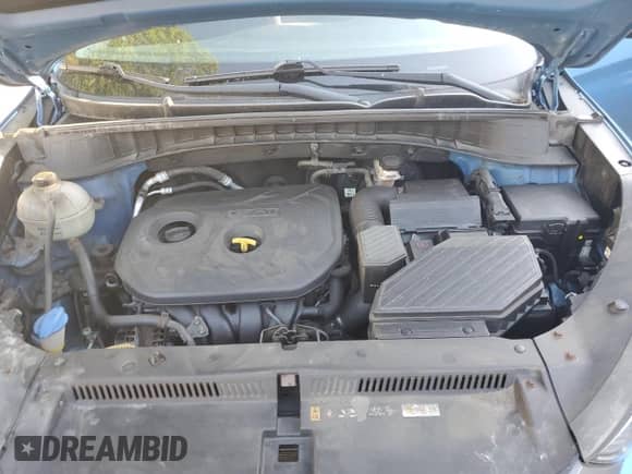 2017 Hyundai Tucson SE с VIN KM8J3CA42HU497583, выставлен на аукционе Copart как лот 71216015 с пробегом 76 038 миль миль и Списание • Salvage title. История ставок и продаж доступна на DreamBid. Изображение 12.