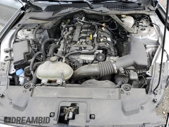 2023 Ford Mustang EcoBoost Premium with VIN 1FATP8UH9P5110944, listed as a Copart auction lot 64450845 with Not provided miles and Clean title. Bid and sale history available at DreamBid. Image 11.