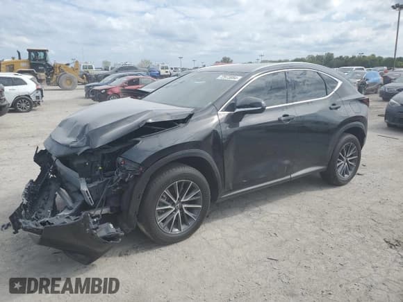✅ 2023 Lexus NX 250 Premium • VIN: 2T2GDCEZ3PC003028 • Лот: 72973884. Опубликован ранее на Copart с пробегом Не указан. Бесплатный доступ к архиву аукционных продаж из США и подробный отчёт об истории автомобиля на DreamBid. Изображение 1.