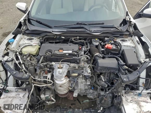 ✅ 2017 Honda Civic LX • VIN: 2HGFC2F53HH543478 • Lot: 94647965. Listed on Copart with 80,081 mi. Free auction sales archive from the USA and detailed vehicle history report at DreamBid. Image 11.