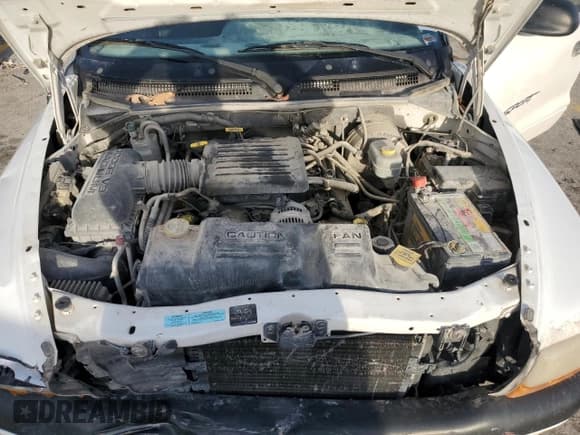 ✅ 2000 Dodge Dakota Sport • VIN: 1B7GG2AN2YS794418 • Lot: 85049154. Wystawiony na Copart z przebiegiem 165 444 mil. Bezpłatny archiwum sprzedaży aukcyjnych z USA i szczegółowy raport historii pojazdu na DreamBid. Zdjęcie 12.