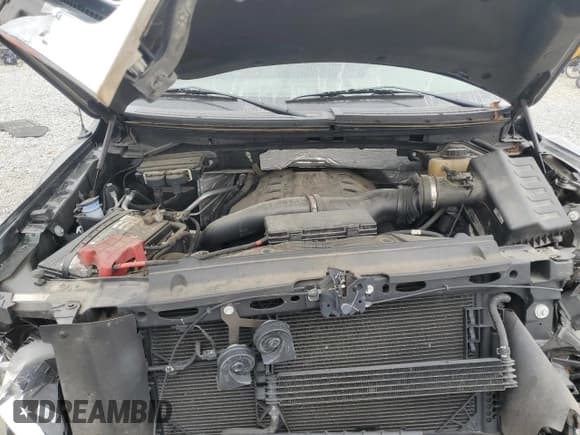 ✅ 2013 Ford F-150 XLT • VIN: 1FTFX1ETXDFA42449 • Lot: 91364355. Listed on Copart with 65,648 mi. Free auction sales archive from the USA and detailed vehicle history report at DreamBid. Image 11.