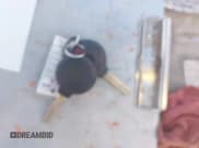 ✅ 2013 Smart fortwo Pure • VIN: WMEEJ3BA3DK693314 • Lot: 43107016. Wystawiony na IAAI z przebiegiem 84 397 mil. Bezpłatny archiwum sprzedaży aukcyjnych z USA i szczegółowy raport historii pojazdu na DreamBid. Zdjęcie 11.