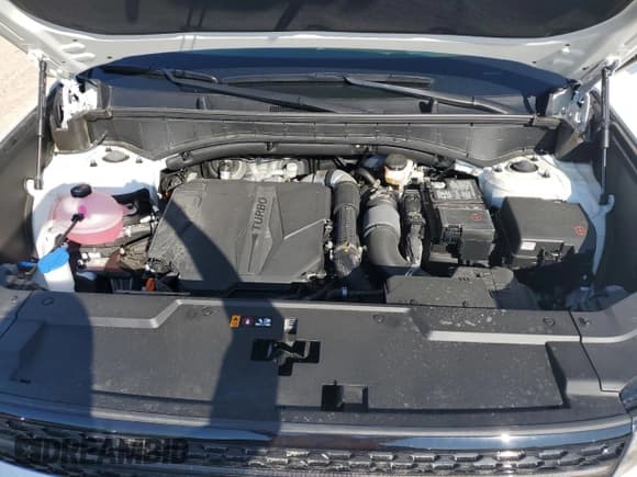 ✅ 2025 Hyundai Santa Fe Calligraphy • VIN: 5NMP54GL3SH087094 • Lot: 80396755. Listed on Copart with 4,828 mi. Free auction sales archive from the USA and detailed vehicle history report at DreamBid. Image 12.