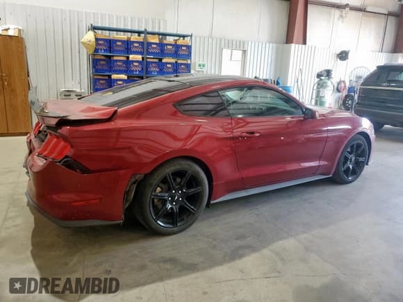 ✅ 2019 Ford Mustang EcoBoost Premium • VIN: 1FA6P8TH7K5129385 • Lot: 70923745. Listed on Copart with 44,343 mi. Free auction sales archive from the USA and detailed vehicle history report at DreamBid. Image 3.