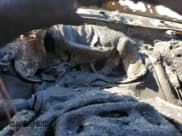 ✅ 2013 Hyundai Veloster w/Black Int • VIN: KMHTC6AD6DU122736 • Lot: 43390305. Wystawiony na Copart z przebiegiem Nie podano. Bezpłatny archiwum sprzedaży aukcyjnych z USA i szczegółowy raport historii pojazdu na DreamBid. Zdjęcie 9.