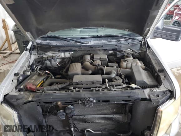 ✅ 2010 Ford F-150 XL • VIN: 1FTNF1EV2AKB05661 • Lot: 83755675. Listed on Copart with 159,234 mi. Free auction sales archive from the USA and detailed vehicle history report at DreamBid. Image 11.