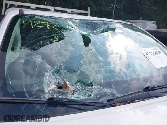 2020 Chevrolet Colorado 4WD Work Truck with VIN 1GCHTBEN7L1124744, listed as a IAAI auction lot 42755629 with 132,704 mi miles and . Bid and sale history available at DreamBid. Image 6.