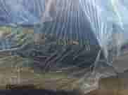 2023 Chevrolet Equinox LT с VIN 3GNAXUEGXPL214527, выставлен на аукционе IAAI как лот 43610335 с пробегом 19 442 миль миль и . История ставок и продаж доступна на DreamBid. Изображение 18.