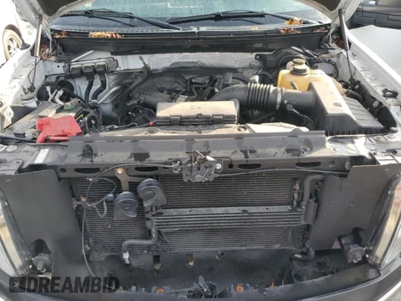 ✅ 2011 Ford F-150 XL • VIN: 1FTMF1EM1BKD82791 • Lot: 82148724. Listed on Copart with 76,928 mi. Free auction sales archive from the USA and detailed vehicle history report at DreamBid. Image 11.