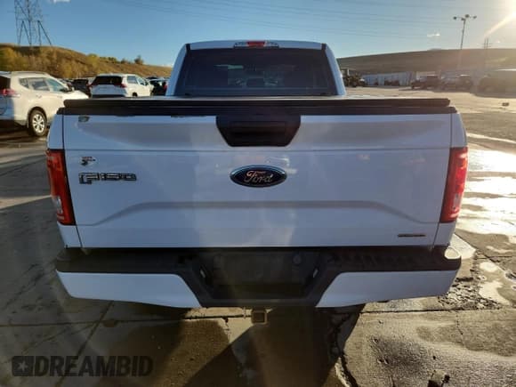 ✅ 2015 Ford F-150 XL • VIN: 1FTEX1C80FKE65870 • Lot: 86843145. Listed on Copart with 162,959 mi. Free auction sales archive from the USA and detailed vehicle history report at DreamBid. Image 6.