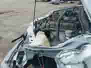 1999 Chevrolet Tracker с VIN 2CNBE13C6X6925210, выставлен на аукционе IAAI как лот 42395915 с пробегом 156 201 миль миль и . История ставок и продаж доступна на DreamBid. Изображение 20.