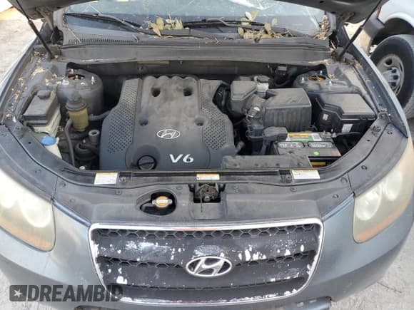 ✅ 2007 Hyundai Santa Fe GLS • VIN: 5NMSG13D77H099001 • Lot: 76112454. Listed on Copart with 230,368 mi. Free auction sales archive from the USA and detailed vehicle history report at DreamBid. Image 12.