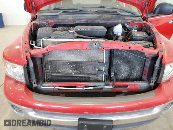 2002 Dodge 1500 z VIN 3D7HU18N42G211770, wystawiony jako Copart lot #82081375 z przebiegiem 181 420 mil mil oraz Czysty tytuł • Clean title. Historia ofert i sprzedaży dostępna na DreamBid. Obrazek 11.