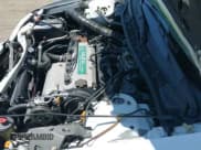 ✅ 1999 Honda Accord EX • VIN: 1HGCG6679XA059196 • Лот: 43042767. Опубликован ранее на IAAI с пробегом 256 679 миль. Бесплатный доступ к архиву аукционных продаж из США и подробный отчёт об истории автомобиля на DreamBid. Изображение 19.