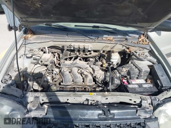 ✅ 2005 Ford Escape XLT • VIN: 1FMCU03165DA08296 • Лот: 41677892. Опубликован ранее на IAAI с пробегом 255 431 миль. Бесплатный доступ к архиву аукционных продаж из США и подробный отчёт об истории автомобиля на DreamBid. Изображение 10.