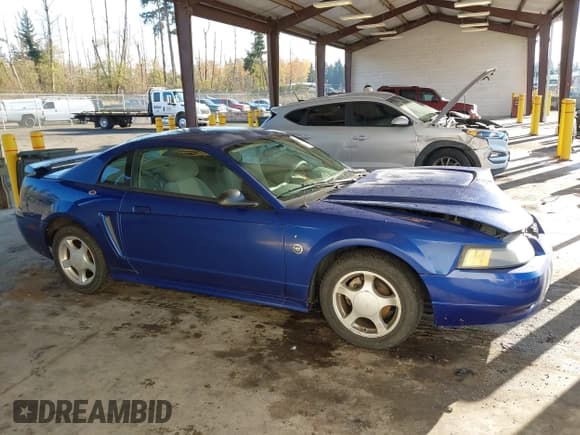✅ 2004 Ford Mustang Standard • VIN: 1FAFP40604F156257 • Lot: 43665137. Wystawiony na IAAI z przebiegiem 211 896 mil. Bezpłatny archiwum sprzedaży aukcyjnych z USA i szczegółowy raport historii pojazdu na DreamBid. Zdjęcie 13.