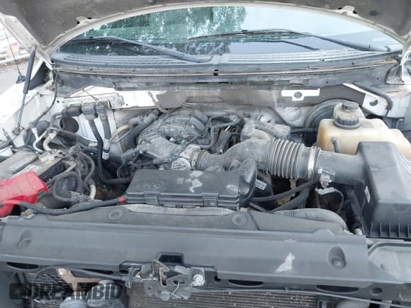 ✅ 2012 Ford F-150 XL • VIN: 1FTEX1CM8CFC19442 • Lot: 42587241. Listed on IAAI with 212,009 mi. Free auction sales archive from the USA and detailed vehicle history report at DreamBid. Image 10.