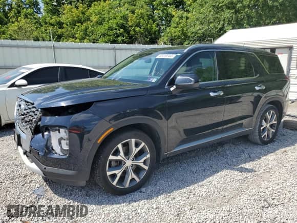 2020 Hyundai Palisade SEL with VIN KM8R3DHE0LU093052, listed as a Copart auction lot 62419744 with 77,304 mi miles and Salvage title. Bid and sale history available at DreamBid. Image 1.