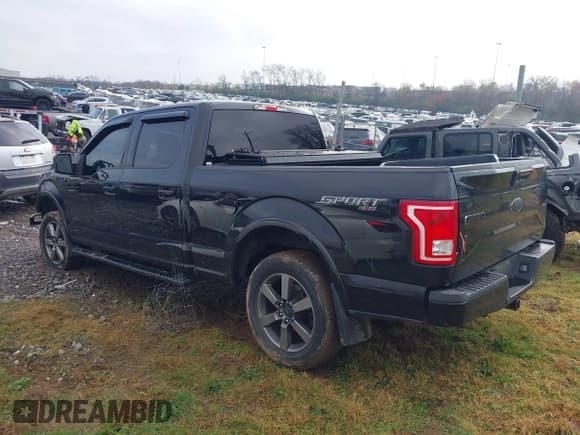 ✅ 2016 Ford F-150 XLT • VIN: 1FTFW1EF1GFA90441 • Lot: 43745131. Listed on IAAI with 219,784 mi. Free auction sales archive from the USA and detailed vehicle history report at DreamBid. Image 14.