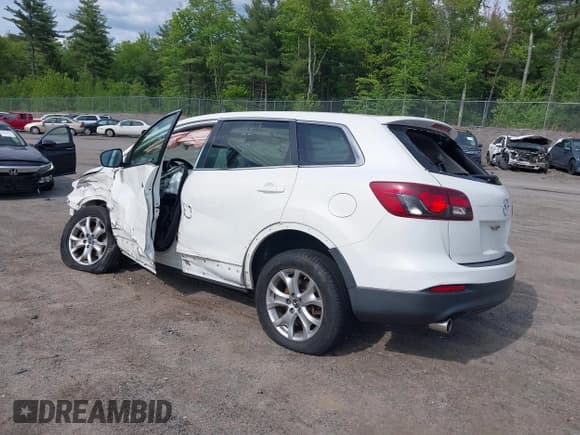 ✅ 2014 Mazda CX-9 Sport • VIN: JM3TB3BV5E0440313 • Lot: 42342145. Listed on IAAI with 117,946 mi. Free auction sales archive from the USA and detailed vehicle history report at DreamBid. Image 3.