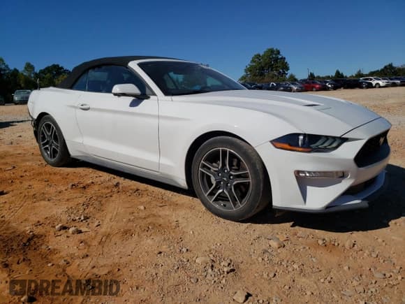 ✅ 2019 Ford Mustang EcoBoost Premium • VIN: 1FATP8UHXK5149034 • Lot: 82496025. Listed on Copart with 128,244 mi. Free auction sales archive from the USA and detailed vehicle history report at DreamBid. Image 4.