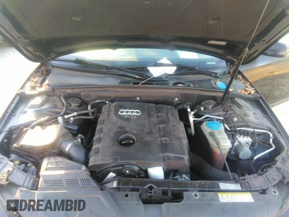 ✅ 2015 Audi A4 Premium • VIN: WAUAFAFL1FN005789 • Lot: 41800560. Wystawiony na IAAI z przebiegiem 114 826 mil. Bezpłatny archiwum sprzedaży aukcyjnych z USA i szczegółowy raport historii pojazdu na DreamBid. Zdjęcie 10.