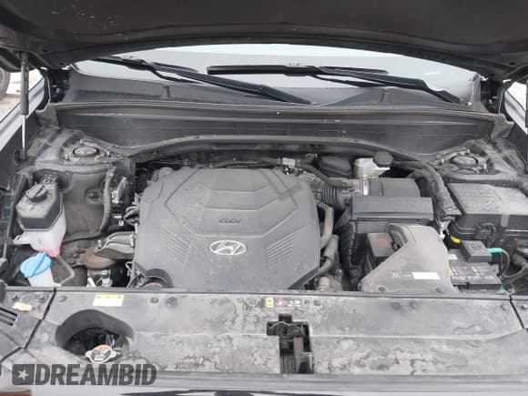 ✅ 2023 Hyundai Palisade SEL • VIN: KM8R2DGE1PU525593 • Лот: 41512410. Опубликован ранее на IAAI с пробегом 53 407 миль. Бесплатный доступ к архиву аукционных продаж из США и подробный отчёт об истории автомобиля на DreamBid. Изображение 10.