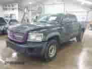 2008 Dodge Dakota with VIN 1D7HW78NX8S564769, listed as a IAAI auction lot 42717548 with 217,290 mi miles and . Bid and sale history available at DreamBid. Image 2.