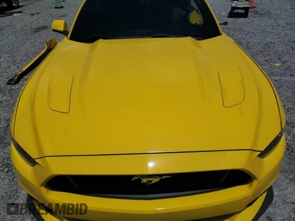 ✅ 2017 Ford Mustang GT Premium • VIN: 1FATP8FF1H5271320 • Lot: 67266195. Listed on Copart with 50,176 mi. Free auction sales archive from the USA and detailed vehicle history report at DreamBid. Image 11.